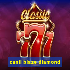 canil blaze diamond